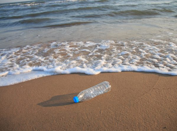 Plastic Pollution Raises Beach Temperatures, Threatening Marine Life, Study Finds