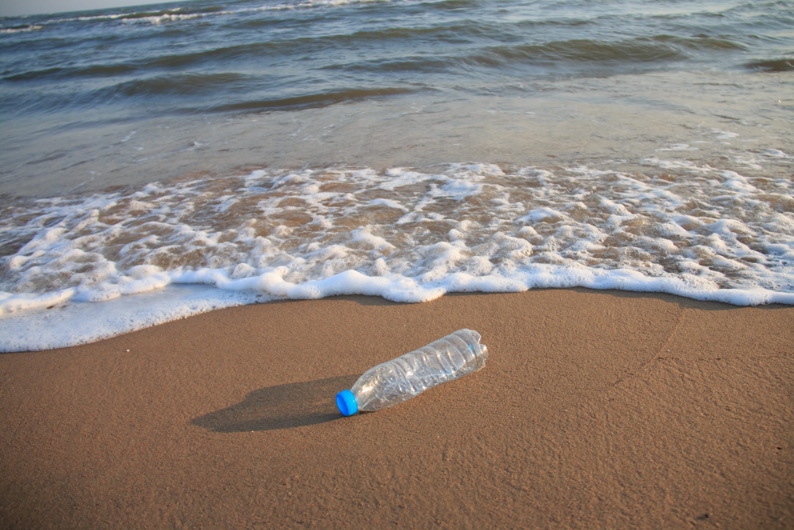 Plastic Pollution Raises Beach Temperatures, Threatening Marine Life, Study Finds