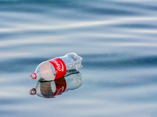 Coca-Cola, leading plastic polluter, says it will sell some 100% recycled bottles in US